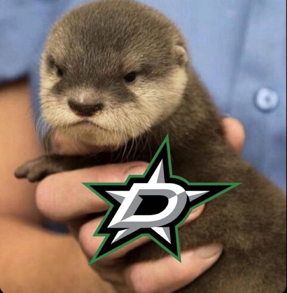 x - grace 🤠 (@graciela_1016) on Twitter photo 