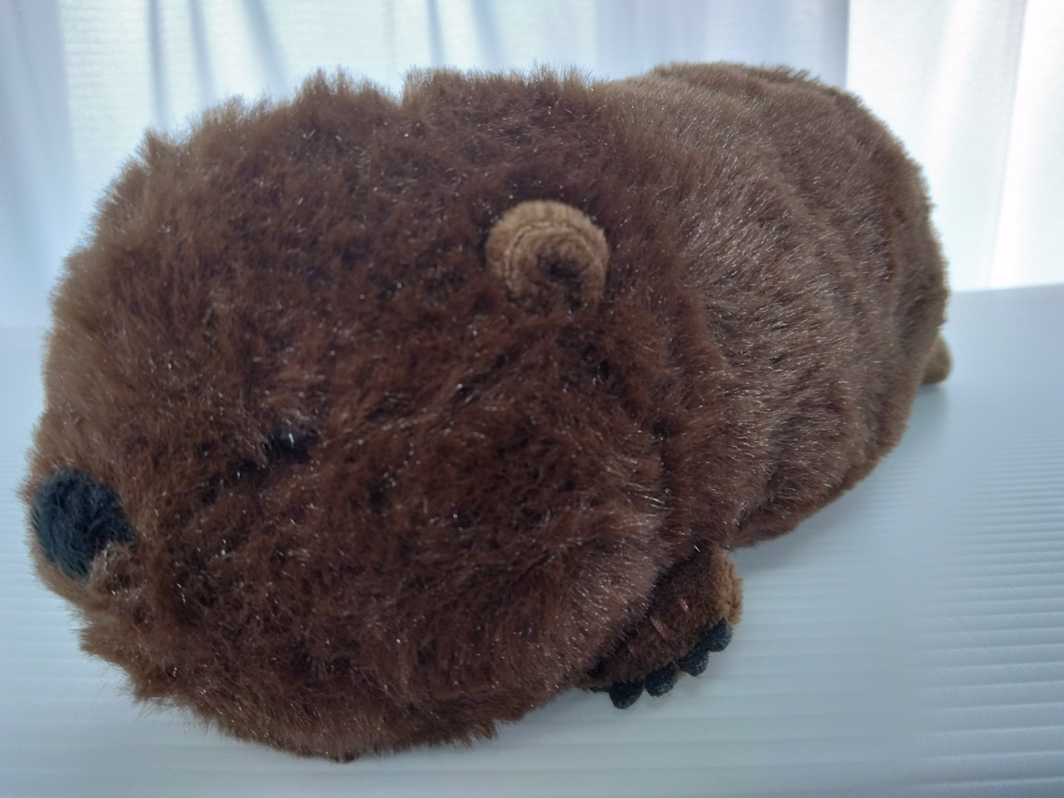 人気商品・限定商品ばかりの「超得 半額福袋」が販売開始 ヒノトントンZOO（羽村市動物公園） on X:  ぬいぐるみ
