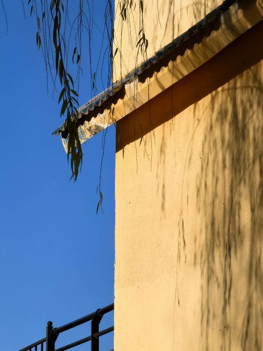 x xx yy zzo o tweet media