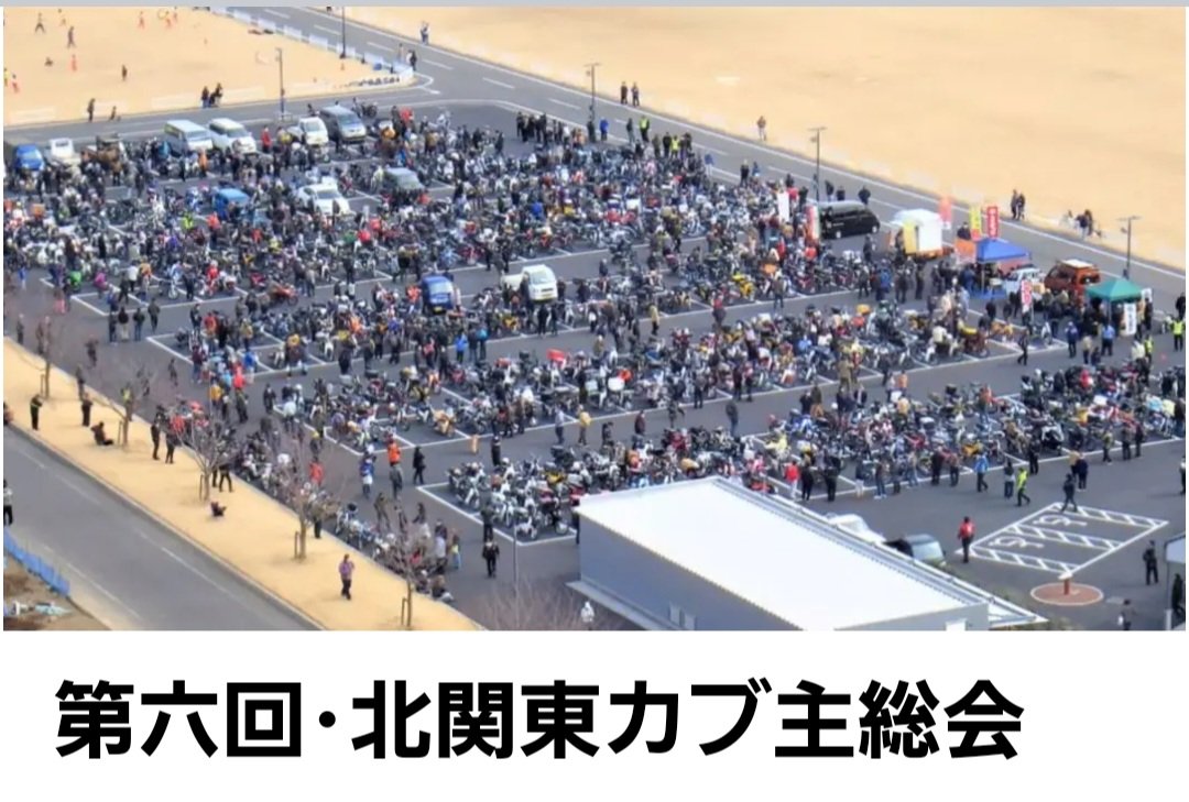 mandom31478596's tweet image. 第六回北関東カブ主総会は令和7年11月16日(日)に開催される事をここにご報告させていただきますm(_ _)m