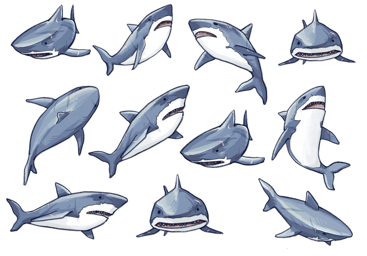 0Matlida0's tweet photo. Here comes the little shark!
@SeaOfThieves @RareLtd 
#SeaOfThieves #BeMorePirate 
#painting https://t.co/NYSKWAJ0Zy