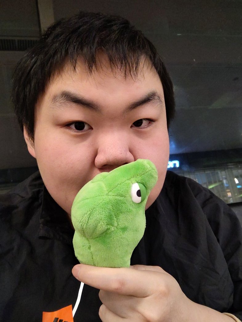 HupuMetapod tweet media