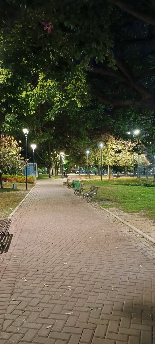 Parque Las Heras Palermo Buenos Aires, noche de paseo tranquilo, y escuchar a los jugadores de futbol de la cancha abierta, mientras transitan los distintos hermosos ejemplares perritos de los vecinos, momentos diferentes #ParqueLaHeras #Nightdate #nochediferente