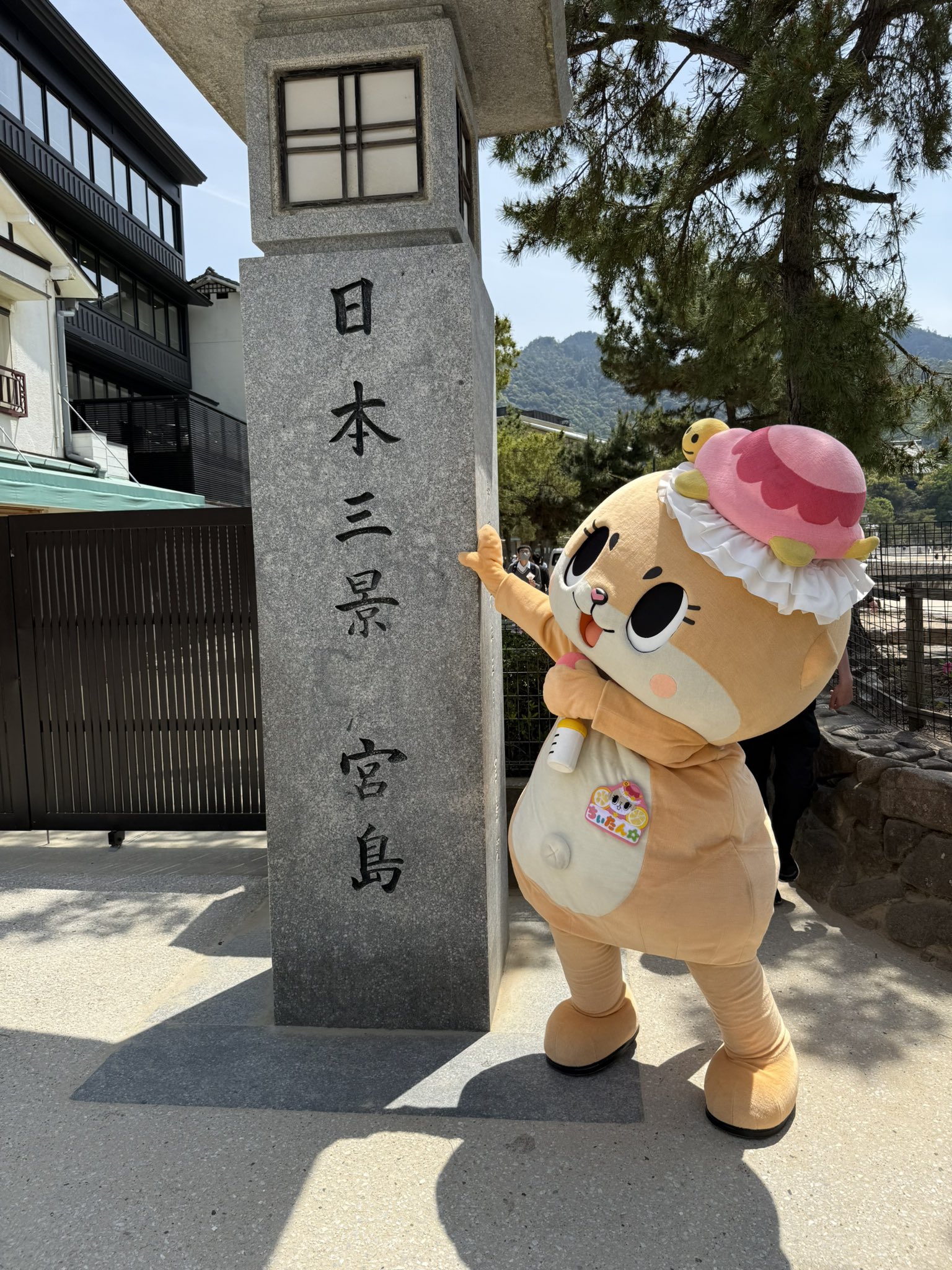 ちいたん☆ (@mickeyentry) / X ちいたん☆ (@mickeyentry) / X