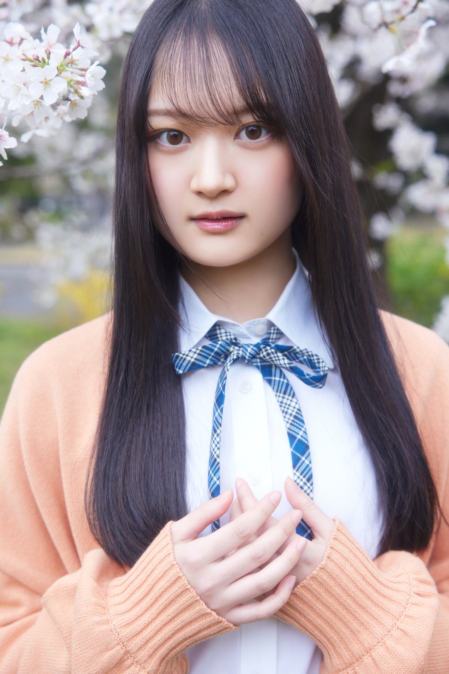 櫻坂46 on X: 