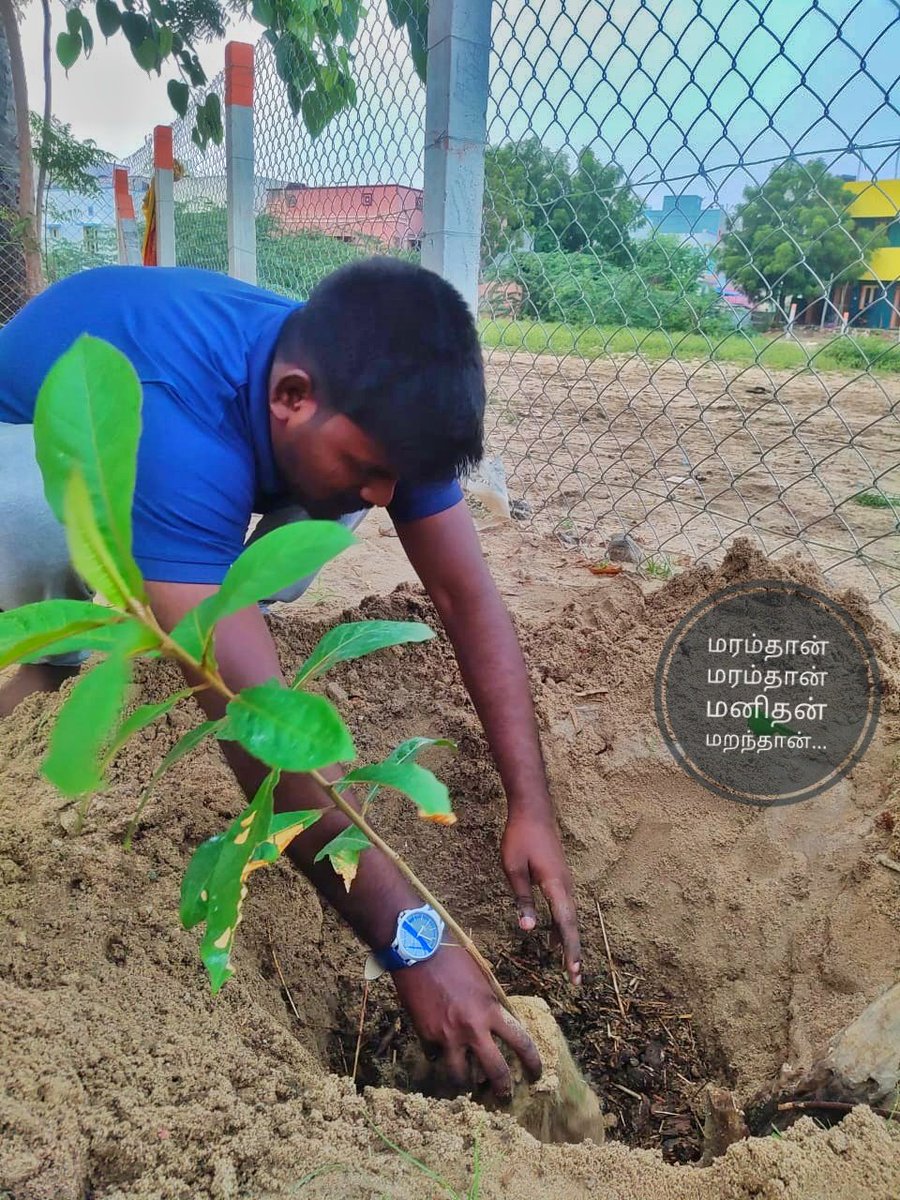 MAsElVa211's tweet photo. SELVA CLICK'S 📸
#thuruvan😇 #NatureBeauty #planting https://t.co/y6qkBEsD6B