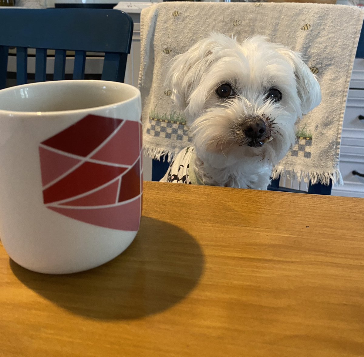 Gümaydın!! Hadi kakın kaafe yabdımm ☕️🥰