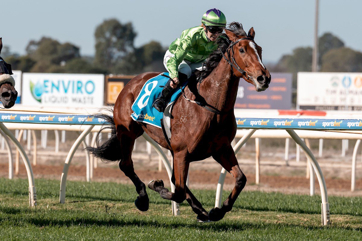Liam Howley Racing (@howleyracing) on Twitter photo Belladramatic winning well at <a href="/Wangarattatc/">Wangaratta Turf Club</a> today under stable apprentice Danica Munro. This beautifully bred filly by <a href="/WaikatoStud/">Waikato Stud</a> Super Seth is a half sister to our own Virtuous Circle. A big thanks to the whole team at the stables & a special congrats to her loyal owners Belladramatic winning well at <a href="/Wangarattatc/">Wangaratta Turf Club</a> today under stable apprentice Danica Munro. This beautifully bred filly by <a href="/WaikatoStud/">Waikato Stud</a> Super Seth is a half sister to our own Virtuous Circle. A big thanks to the whole team at the stables & a special congrats to her loyal owners