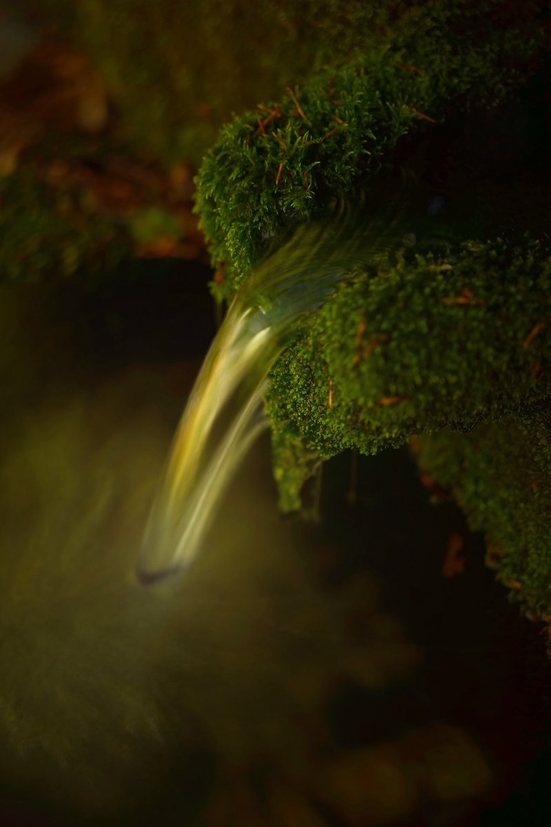 -new SIGMA BF- 

the river and the wizard.
‘And tell me, what does it take to turn water into gold?’
‘It takes a life’.

from <a href="/foto_sigma/">SIGMA Italia</a> 
<a href="/Sigma_Japan/">SIGMA Japan</a> 
<a href="/SigmaImagingUK/">SIGMA UK</a> 
<a href="/Sigma_Photo/">SIGMA America</a> 
<a href="/SIGMA_foto/">SIGMA (Deutschland)</a> 
<a href="/SigmaFrance/">Sigma France</a>