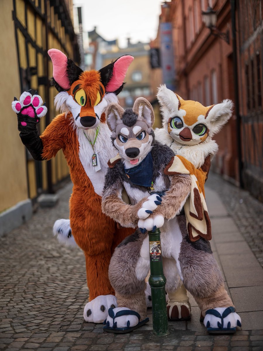 AkiFox (@akifoxx) on Twitter photo We ran into <a href="/MayT0602/">May (Chaba🦉) 🔜Infurnity</a> when <a href="/MahkunCoyote/">MahkunCoyote🐾おきけも🌴👉kemocon</a> and me met for a nice fotoshoot at the end of #NordicFuzzcon #NFC2025. 📸 by <a href="/CaptainChaotika/">🌻 混沌的隊長 ➡️ AFC</a>. #Morefurless #FursuitsFriday #FursuitFriday We ran into <a href="/MayT0602/">May (Chaba🦉) 🔜Infurnity</a> when <a href="/MahkunCoyote/">MahkunCoyote🐾おきけも🌴👉kemocon</a> and me met for a nice fotoshoot at the end of #NordicFuzzcon #NFC2025. 📸 by <a href="/CaptainChaotika/">🌻 混沌的隊長 ➡️ AFC</a>. #Morefurless #FursuitsFriday #FursuitFriday