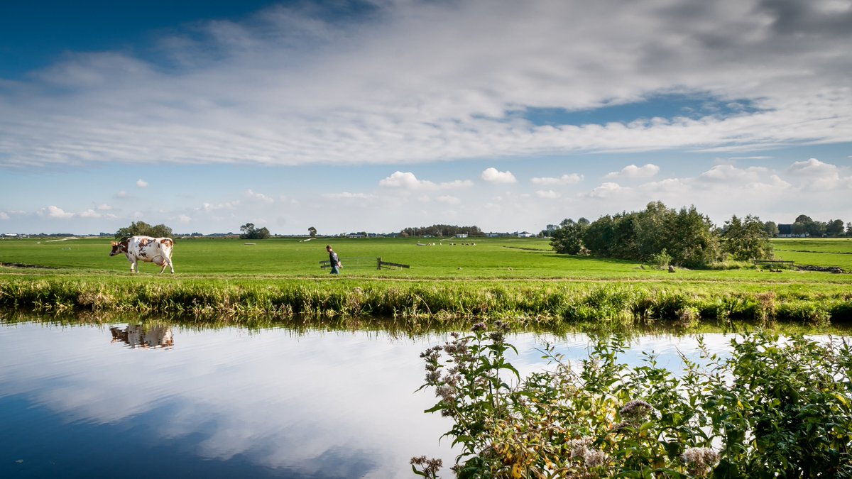 "Investeer met ons in de blijvers in de Peel!" reageren de samenwerkende overheden in NOVEX De Peel aan het Rijk n.a.v. de stikstofbrief van <a href="/minlvvn/">Ministerie van LVVN</a> . Zet mee in op nieuwe landbouwvormen, innovatief ondernemerschap, leefbare dorpen én volhoudbare natuur. bit.ly/42G7IpN