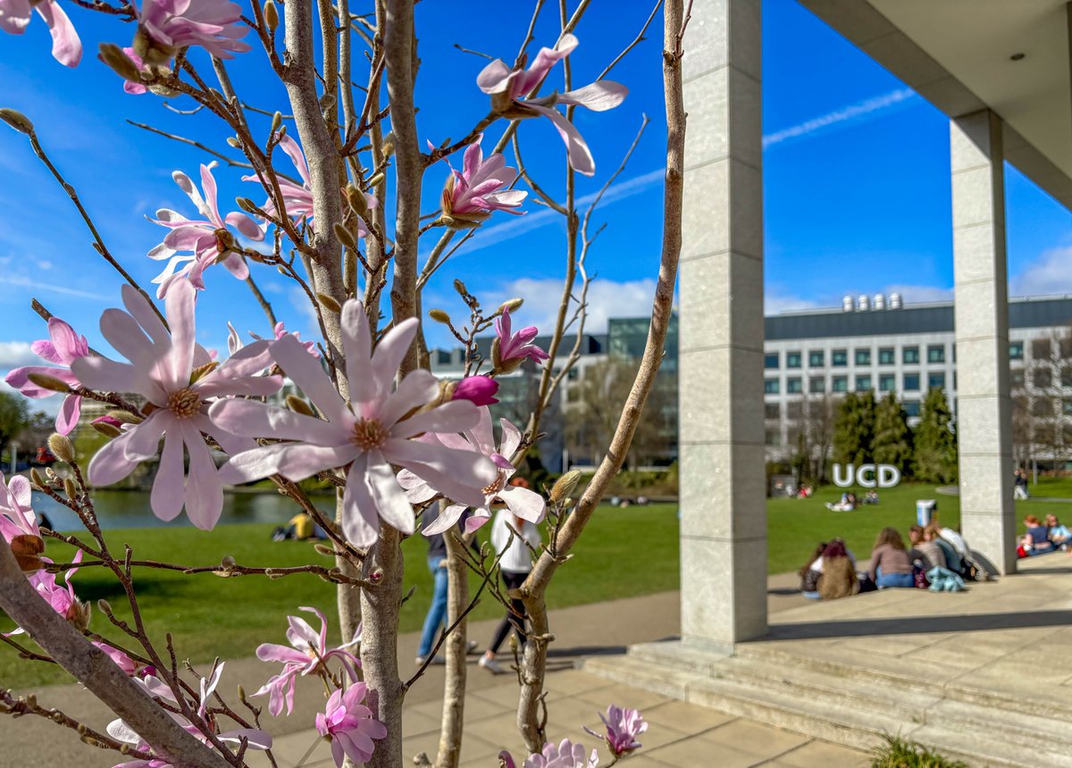 💙💛 Sending positive vibes to everyone starting exams tomorrow 💪🧠📚🪑📝🎓🔜🎉