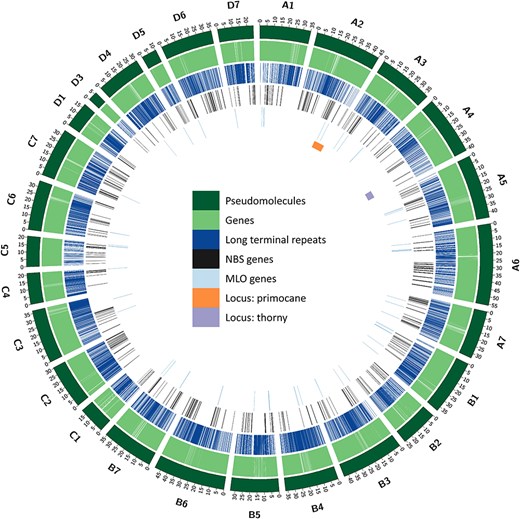 Hortres's tweet image. First chromosome-scale tetraploid blackberry genome (BL1) assembled! 88k genes, key traits mapped. Accelerates breeding. #BlackberryGenome #CropImprovement #Anthocyanins @OxfordJournals 
Details: doi.org/10.1093/hr/uha…