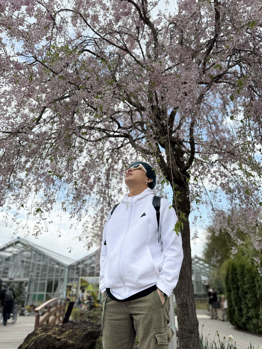 rn_bernabe's tweet photo. “Not peak bloom, but still peak Japan.” ~Unknown #RNB #Japan #Tokyo #Sakura #CherryBlossoms https://t.co/Lf55hHvwBy
