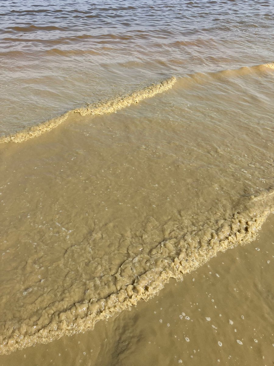 Bart Cools tweet media