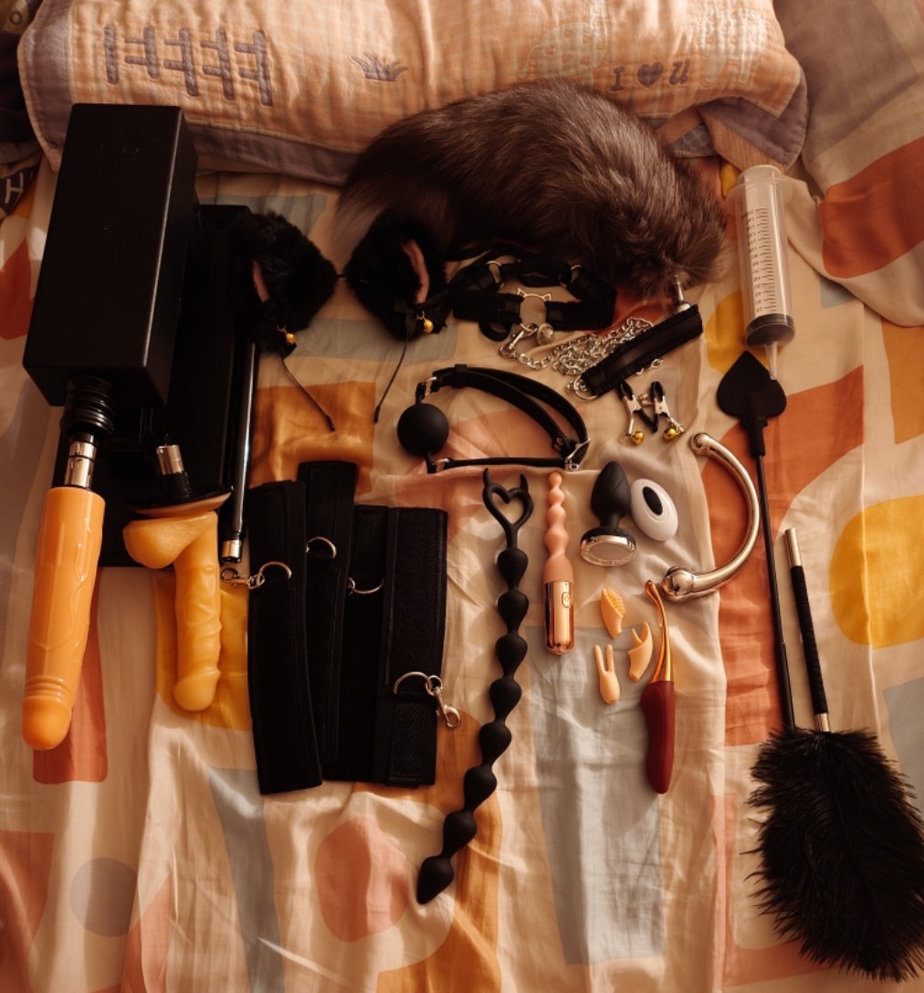 𝓡𝓮𝔁 (@rex4253) on Twitter photo 