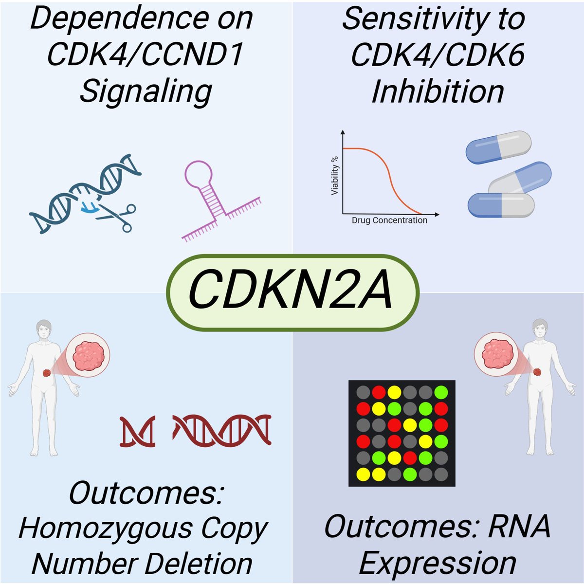 Revisiting CDKN2A dysregulation in Ewing sarcoma

💭 buff.ly/XDbqkD4

#EwingSarcoma #CDKN2A 

🖊️ <a href="/ElhamNasri/">Elham Nasri</a> <a href="/JohnLigon/">John Ligon, M.D.</a> <a href="/LambaJK_Lab/">Jatinder Lamba Lab</a> <a href="/nathanseligson/">Nathan Seligson</a>