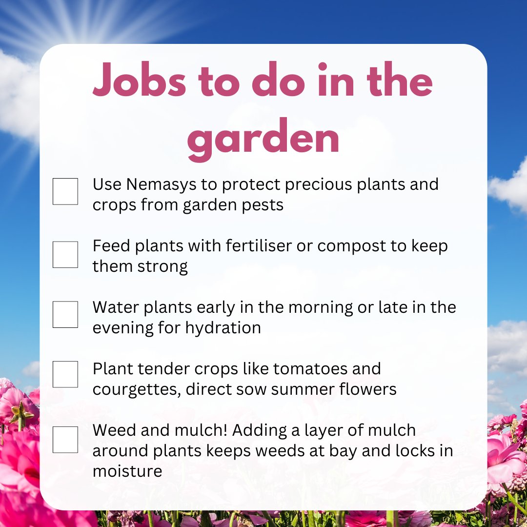 May is a busy time in the garden as plants burst into life! 

Here are five key tasks to keep your garden thriving this month!
