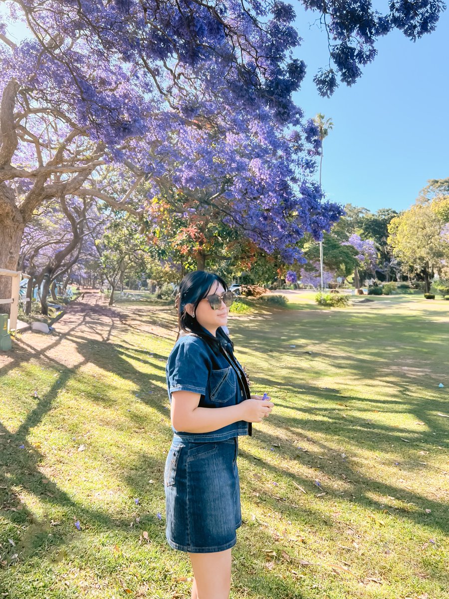 traveloka's tweet image. Kalo Jepang punya bunga pink sakura, Sydney punya bunga ungu Jacaranda ini 💜

Warga lokal sering ke luar rumah buat hunting bunga ini. Kalo kamu dikasih diskon Tiket Pesawat buat liburan ke Sydney &amp;amp; liat bunga ini, gabisa nolak kan? 😌
Cek promonya yuukk: trv.lk/visitsydney