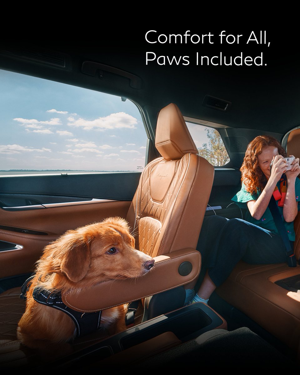 The INFINITI QX60 is where travelers, big or small, ride in genuine style ‘til their tails wag.
#INFINITI #QX60