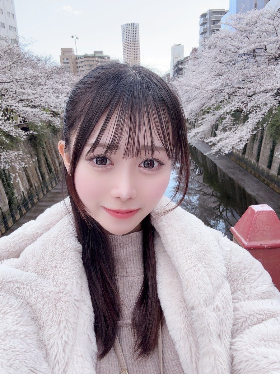 夢を見たい