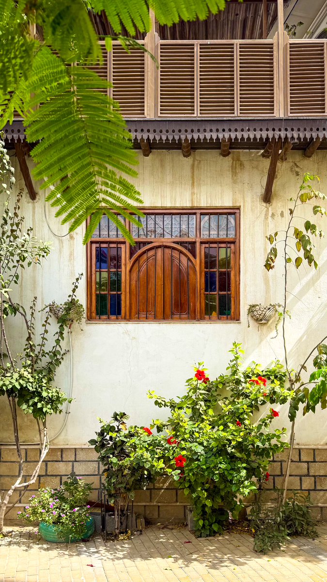 تو کوچه‌های بوشهر با اینجور صحنه‌هایی روبرو میشیم 🌿☀️