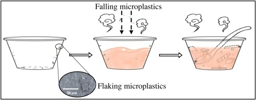 MicroplastX tweet media
