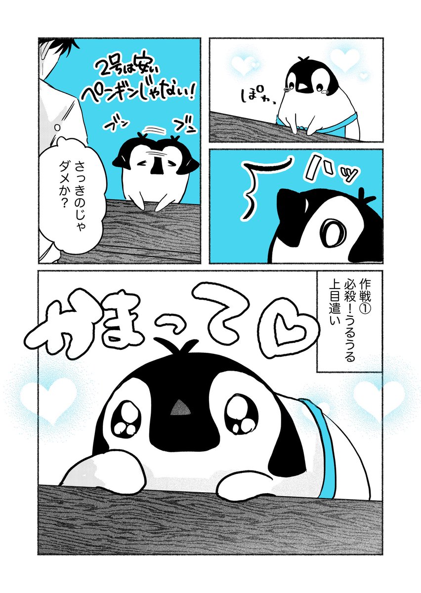 (9/10)かまって!① 