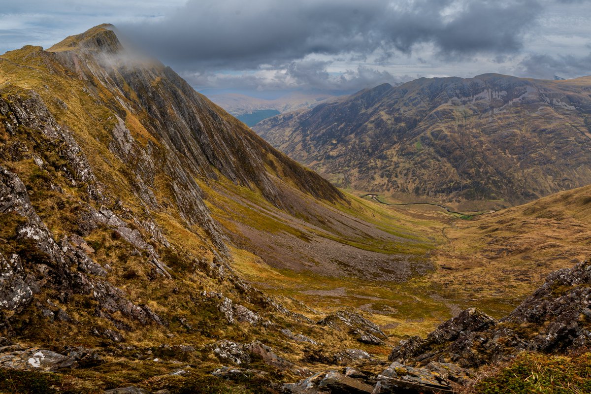 Steve Archer tweet media