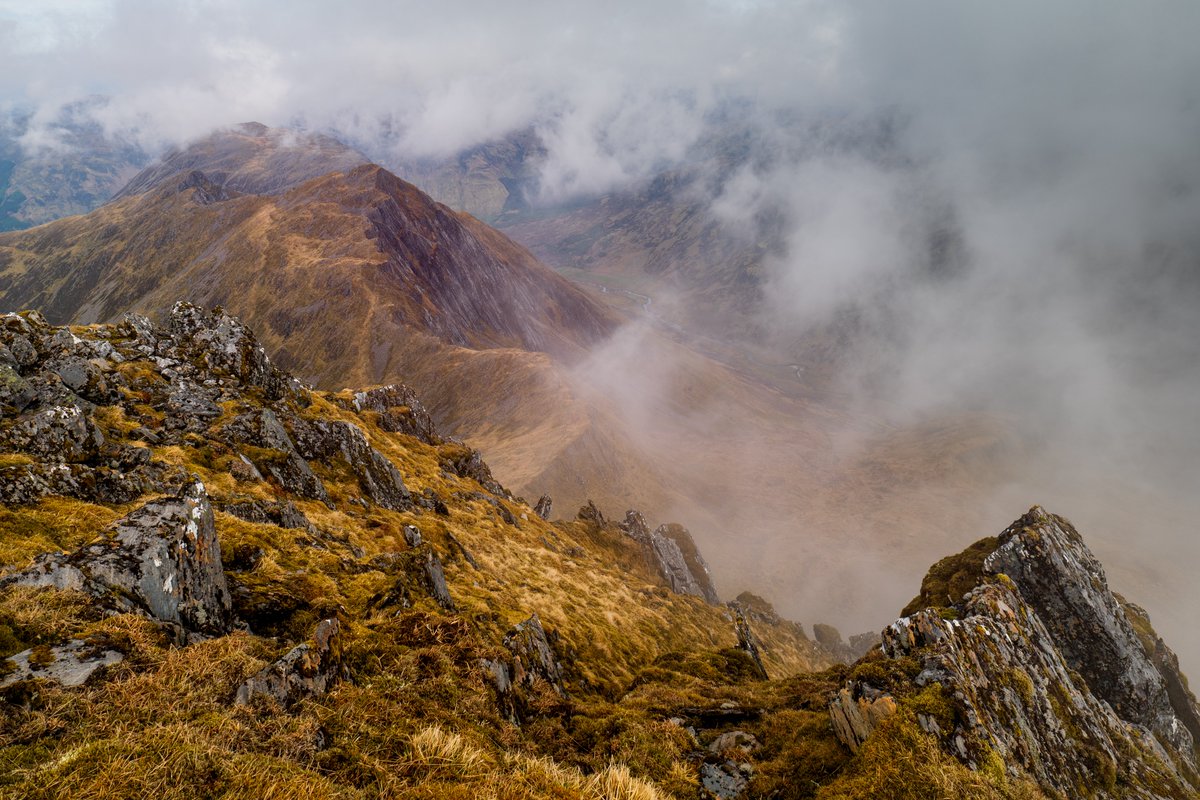 Steve Archer tweet media