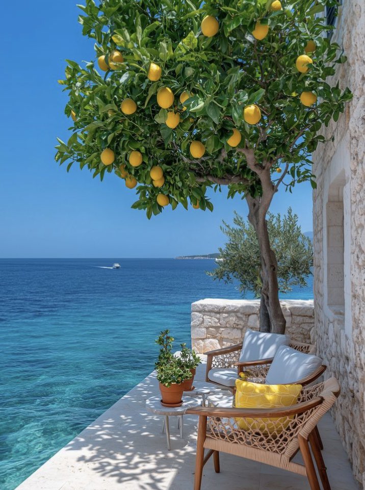 ~🍊.bitmap tweet media