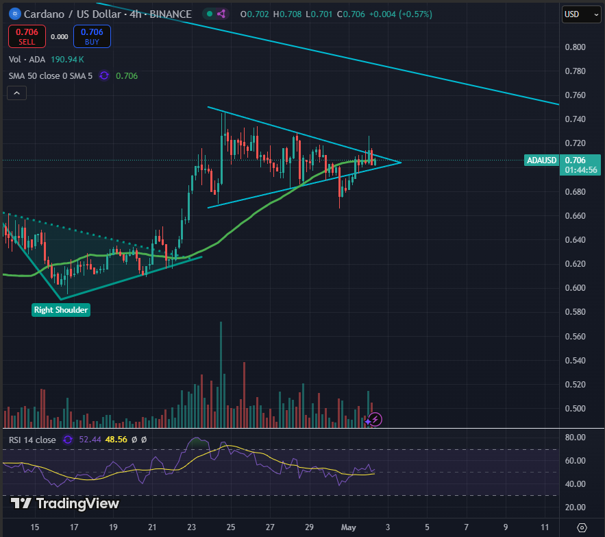 Sssebi🦁 tweet media