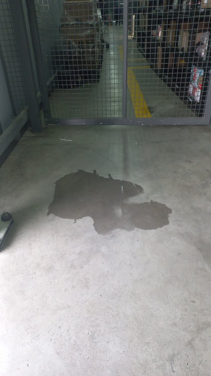 Elsy KETO-QUEEN👑KETOPRENEUR tweet media