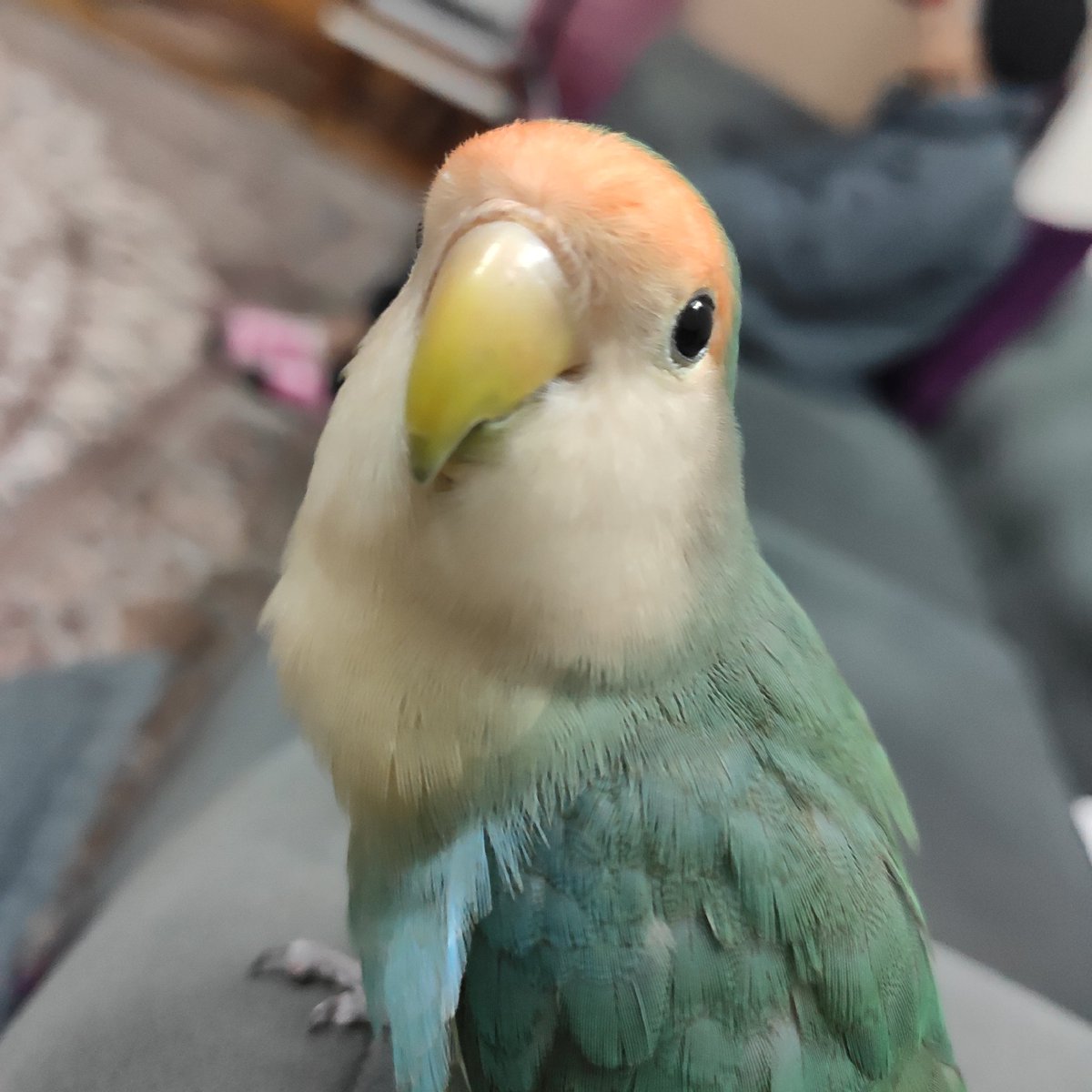 عه همزاد پسته💔