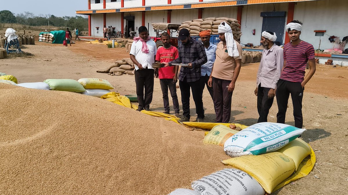 दिनांक 01.05.2025 को सतना संभाग के अंतर्गत ए टू जेड वेयर हाउस सेवा सहकारी समिति कोठी मंडी,सतना  में रबी विपणन वर्ष 2025-26 में गेहूं खरीदी का कार्य सरकार द्वारा तय MSP पर भारतीय खाद्य निगम के देखरेख में सुचारू रुप से चल रहा है।