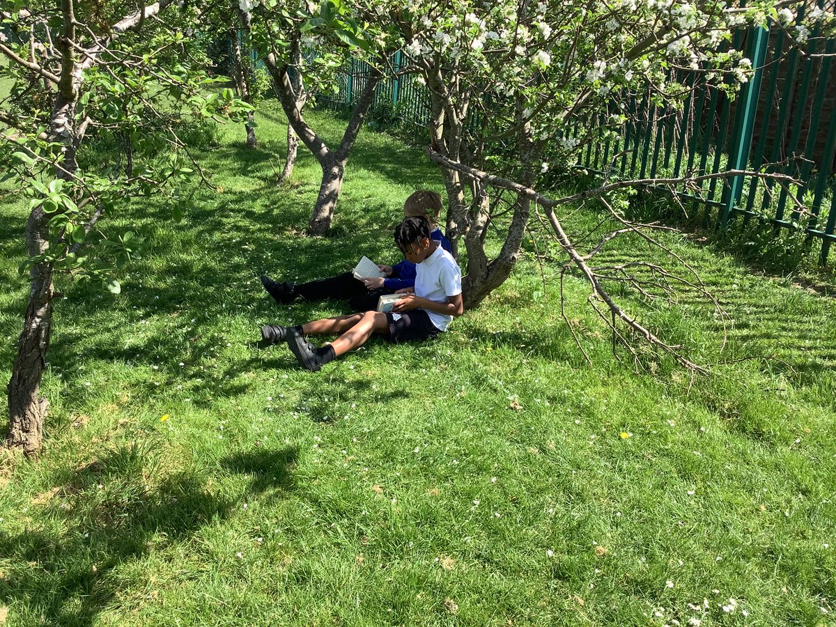 ReinwoodJuniors's tweet image. 5D have enjoyed reading in the shade this week…
#RJSReading
#RJS5D