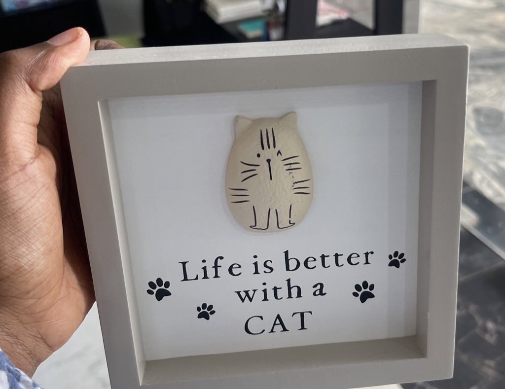 Tag someone who needs this! 🐈