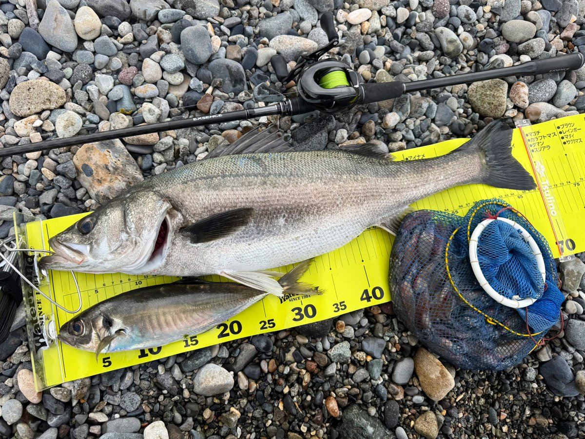 4416Fishing's tweet photo. 善き日に感謝🙏
🦑🐟 https://t.co/76NenCwWNQ