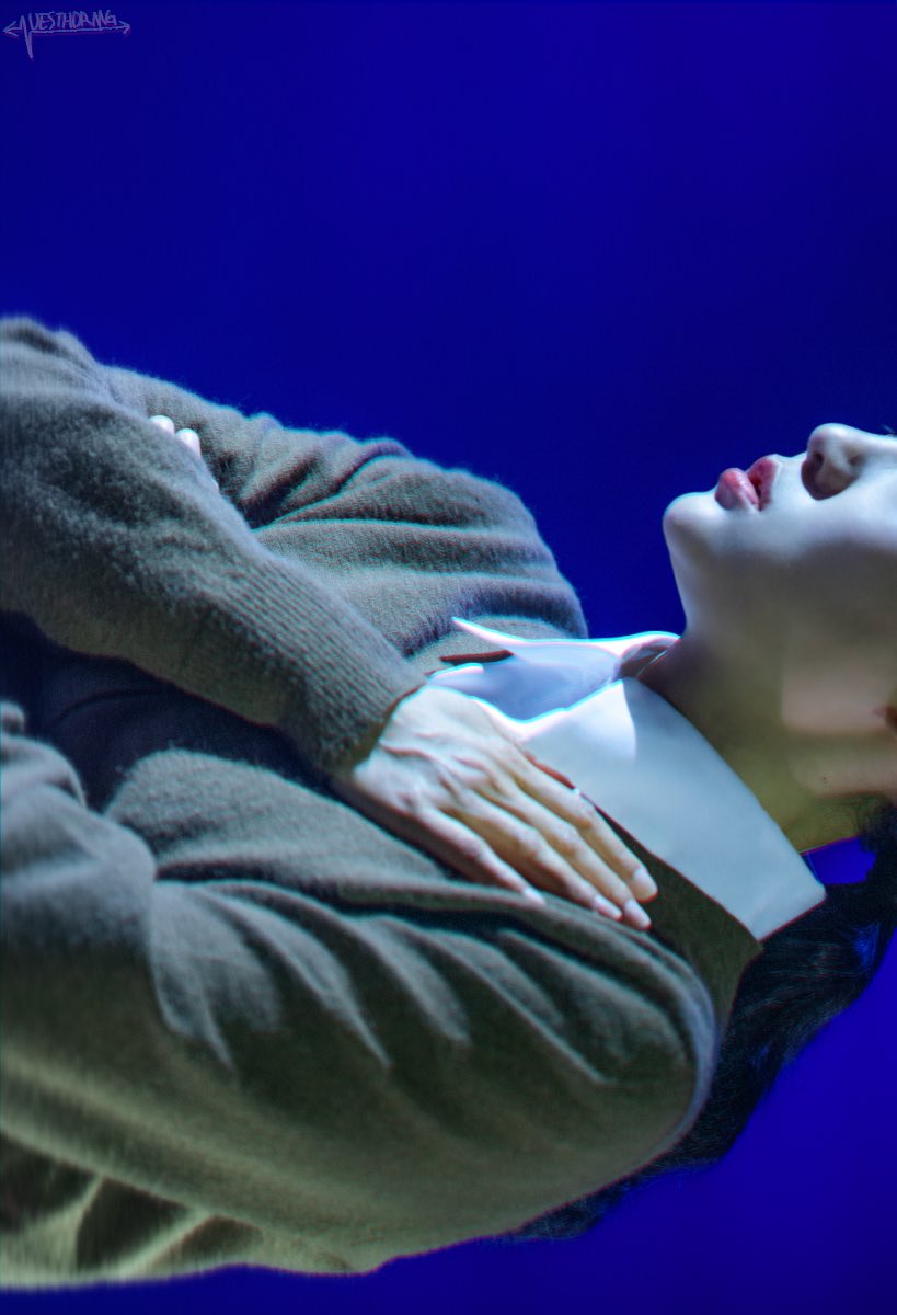 ↑↓←→ tweet media