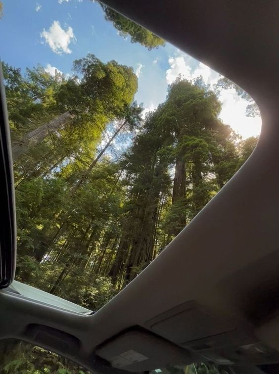 martynadeluseok's tweet photo. Quiet moments are my favorite kind of loud. https://t.co/XsV1svLrI5