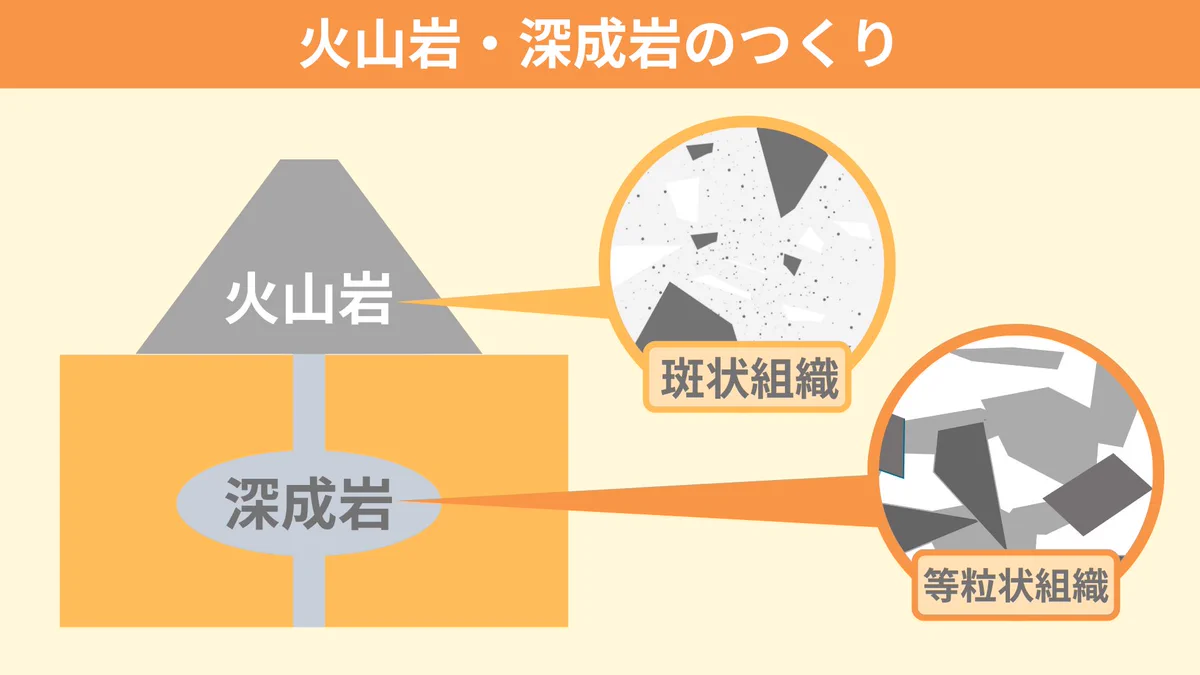等 粒状 組織