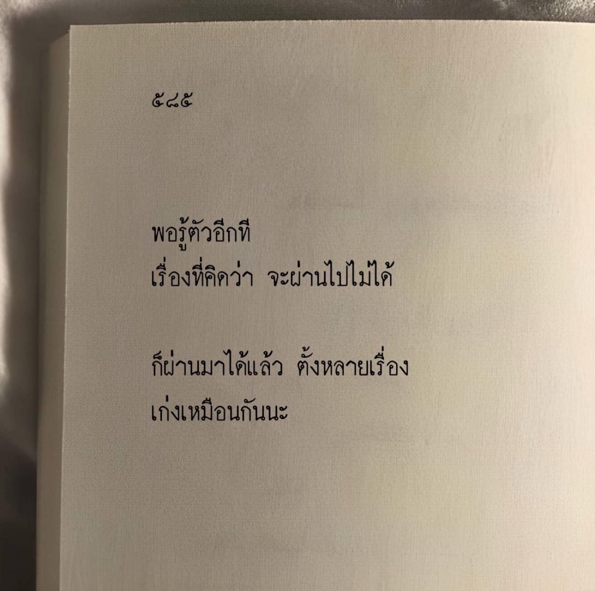 ⋆。𝑔𝒾𝓃𝑔𝑒𝓇 tweet media