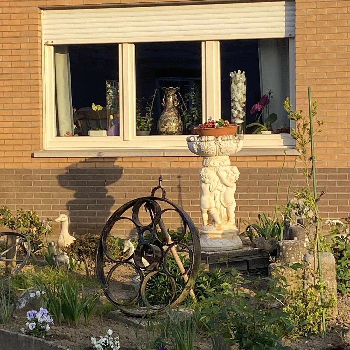 G27Marco's tweet image. Autre chemin de balade ce matin! #heers #flandres #belgique #maison #enseigne #jardin #statue Tout est propret ! Pas un poil ne depasse ! 2