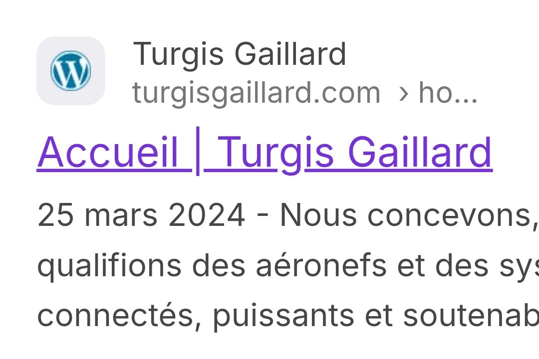Polochinel's tweet photo. @ParaBellumGeo Je ne connaissais pas, mais si vous m'entendez chez Turgis &amp; Gaillard, changez moi ce logo WordPress sur votre site https://t.co/jBkMTmalPD