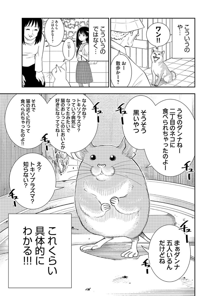 動物の言葉が理解できるチート能力(2/2)

#漫画が読めるハッシュタグ 