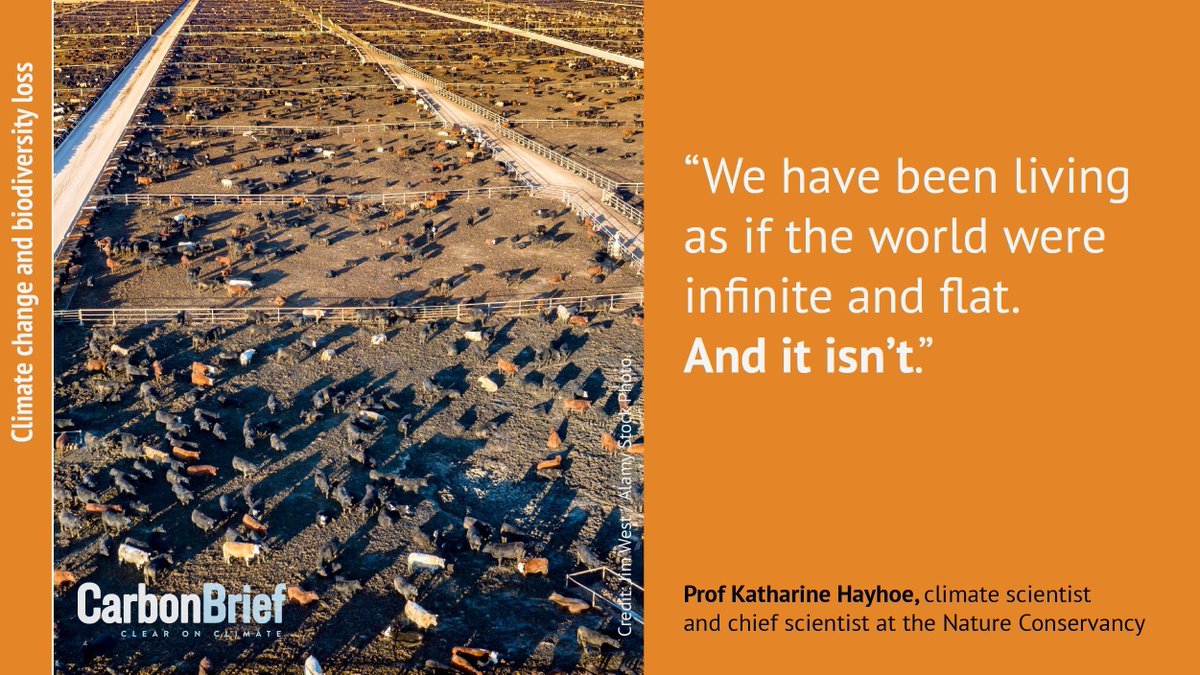 Carbon Brief (@carbonbrief) on Twitter photo Explainer: Can climate change and biodiversity loss be tackled together | <a href="/daisydunnesci/">Daisy Dunne</a> w/comment from @khayhoe @pettorelli @charlielouo <a href="/poertner_hans/">Hans Poertner</a> @petersoroye @alex_pigot <a href="/mremae/">Elizabeth M. Mrema</a> @lishuo_gp #CBarchive
Read here: bit.ly/3xT1ymK Explainer: Can climate change and biodiversity loss be tackled together | <a href="/daisydunnesci/">Daisy Dunne</a> w/comment from @khayhoe @pettorelli @charlielouo <a href="/poertner_hans/">Hans Poertner</a> @petersoroye @alex_pigot <a href="/mremae/">Elizabeth M. Mrema</a> @lishuo_gp #CBarchive
Read here: bit.ly/3xT1ymK