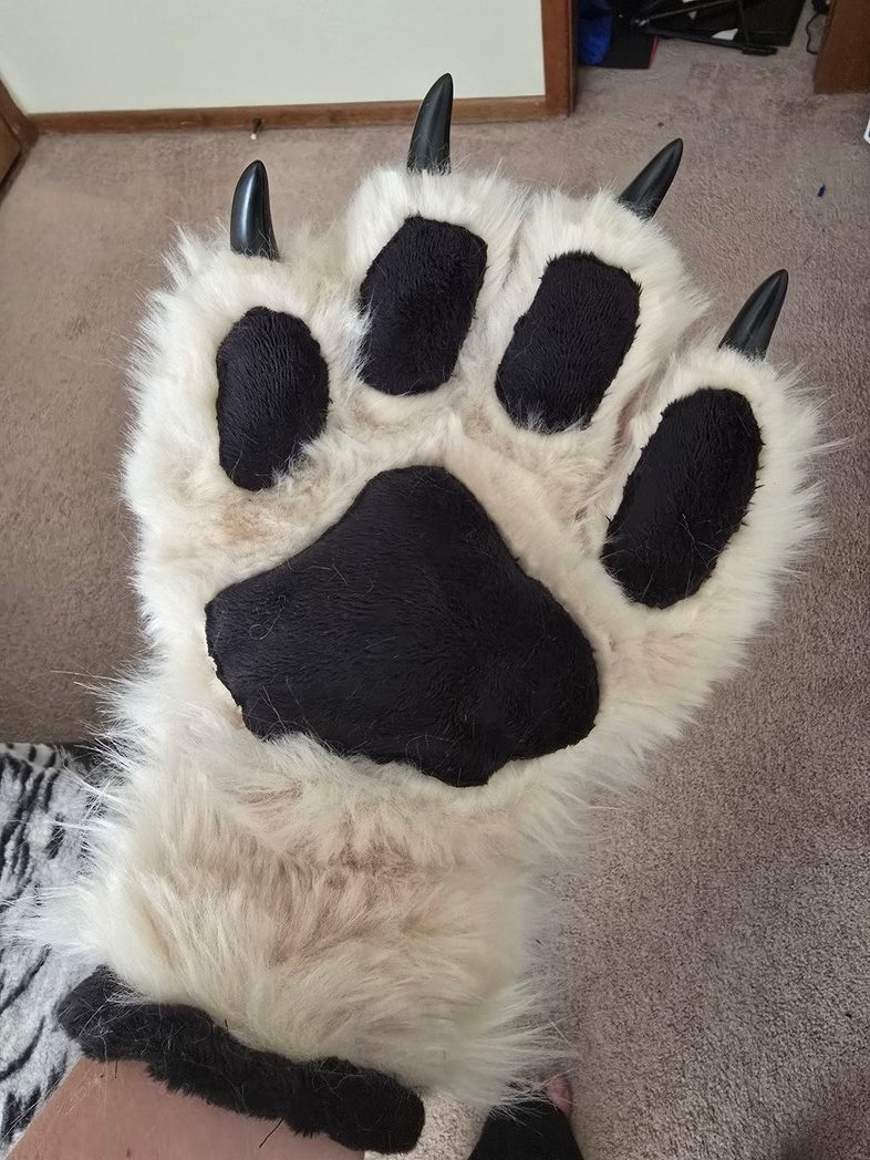 Welcome aboard Major! 
#fursuit #fursuiter