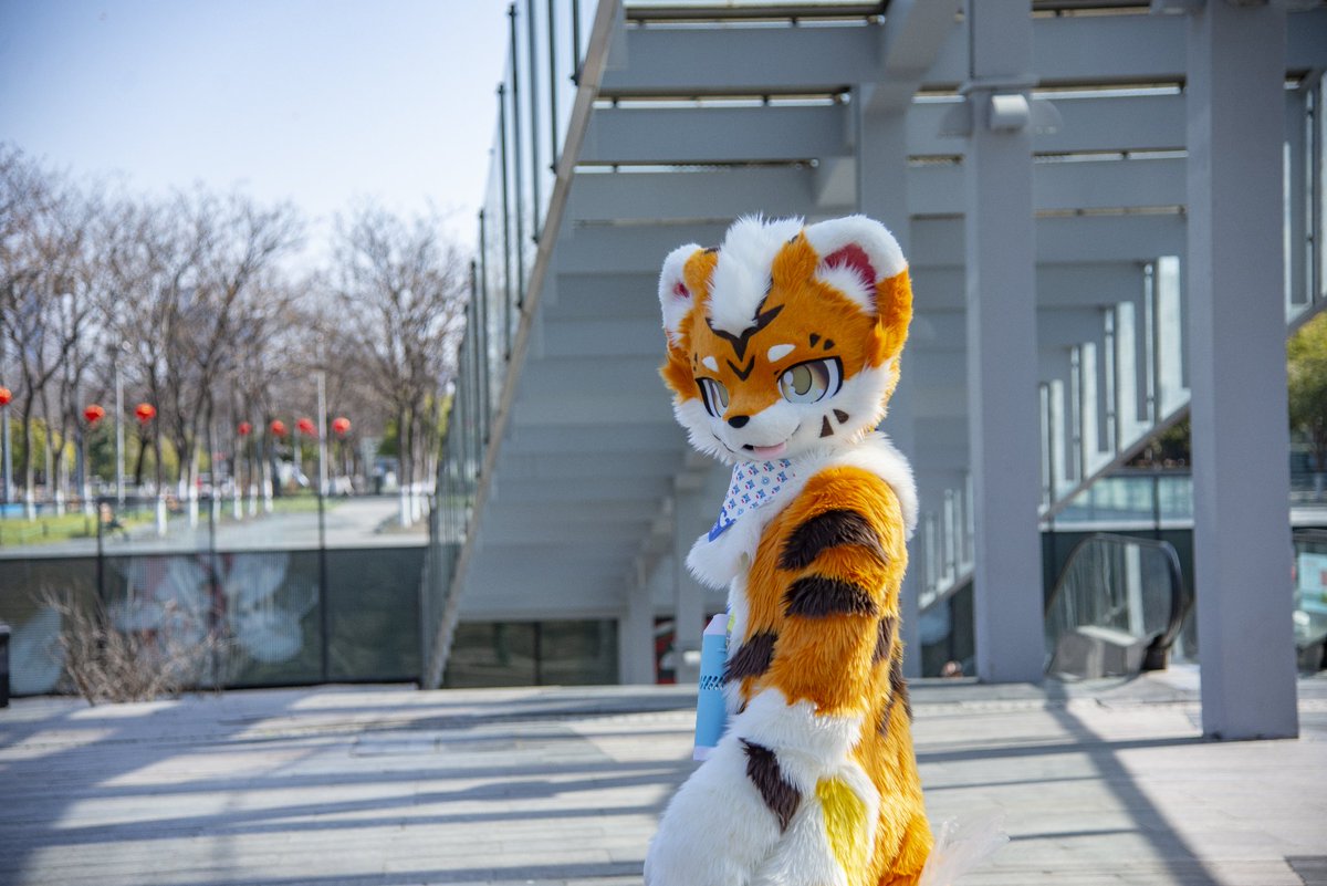 baicai_coin's tweet image. “今天天气好好，走我们出去玩！”
大家福瑞福见哦
毛替：@FoxKohaku 
#FursuitFriday