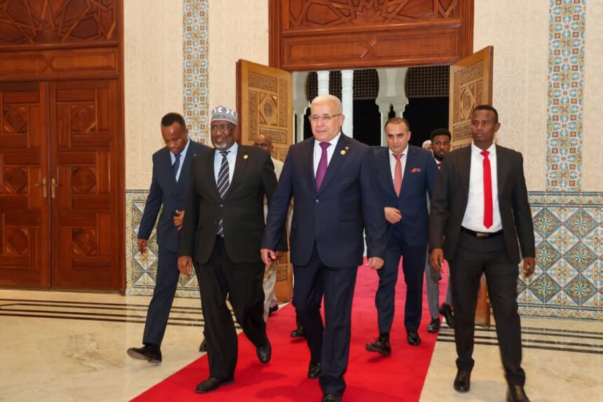 SONNALIVE's tweet image. Somali Parliamentary delegation led by Speaker Madoobe lands in Algeria for high-level Arab Speakers’ Summit. Strengthening ties &amp;amp; addressing critical regional challenges. #Somalia #Algeria #ArabUnity