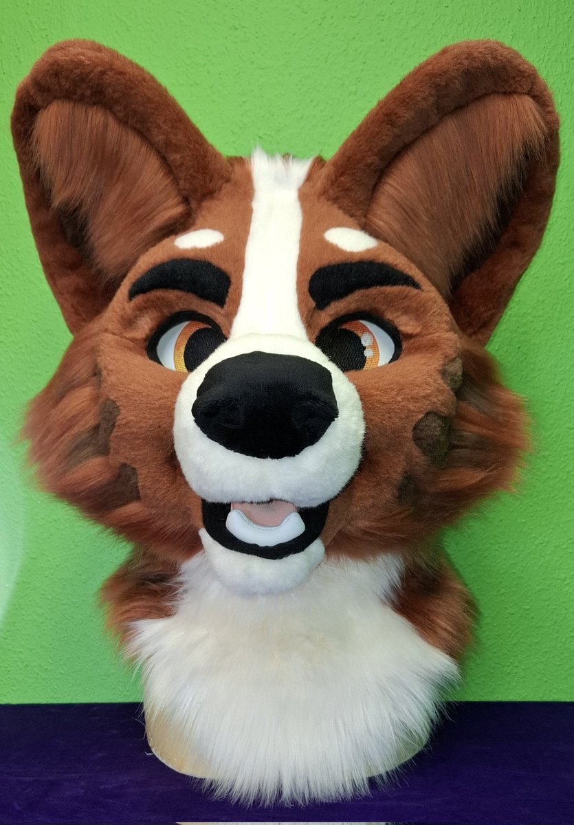 TheKarelia's tweet photo. Here's the finished corgi head for @Neirin_publ! Fullsuit pictures coming next week 😊❤️ #fursuitmaker https://t.co/Z7nKbiMxpm